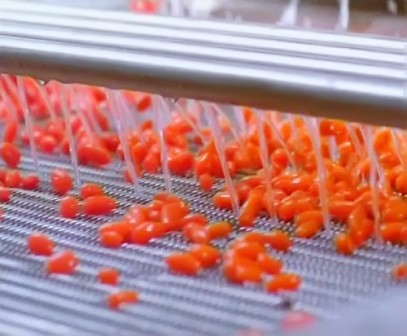 開發高性能果汁飲料生產線前景如何