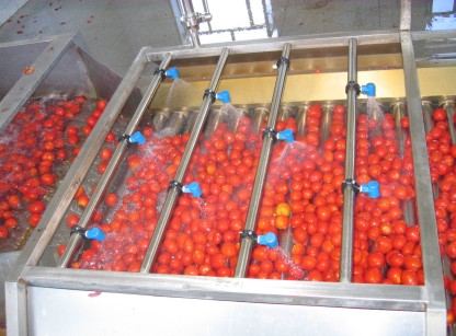 水果加工的產品有哪些？