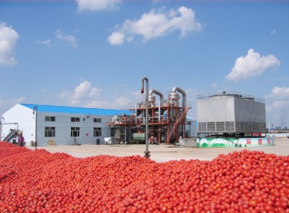 全球功能性飲料發(fā)展與新產(chǎn)品開發(fā)預(yù)測(cè) 全球功能性飲料發(fā)展與新產(chǎn)品開發(fā)預(yù)測(cè)