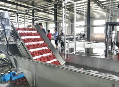 桑葚、藍莓、樹莓加工生產(chǎn)線