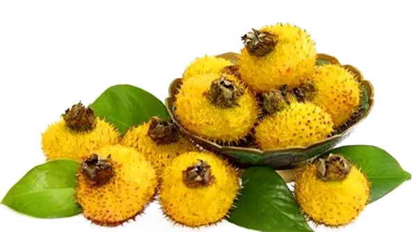 1664416285115617.png 98b757005c9cc4175809ba1d1f934eb7.png