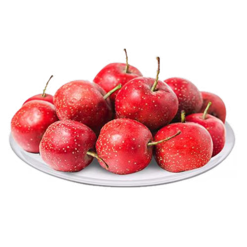 利臻機械山楂汁生產線