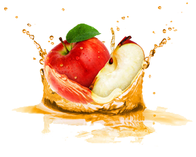 蘋果汁加工設備