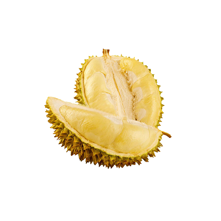 利臻機械榴蓮汁生產線